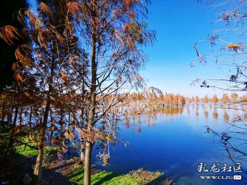 《花少5》收官破纪录!热巴绝美新疆舞或赞,豆瓣8.9实至名归