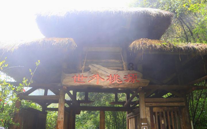 全民剧本大师内置菜单