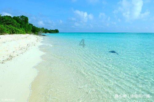 在《碧海黑帆》首年更新内容成为令人胆寒的海上枭雄